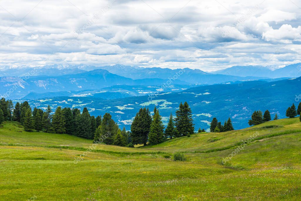 Italy, Alpe di Siusi, Seiser Alm with Sassolungo Langkofel Dolomite, a large green field with a mountain in the background