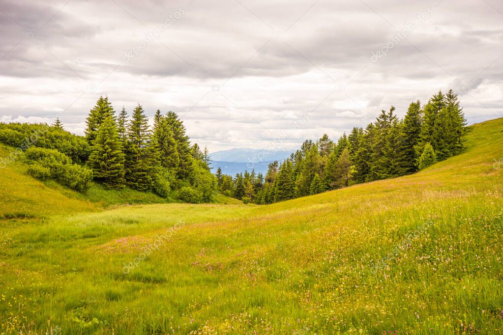 Italy, Alpe di Siusi, Seiser Alm with Sassolungo Langkofel Dolomite, a person standing on a lush green field