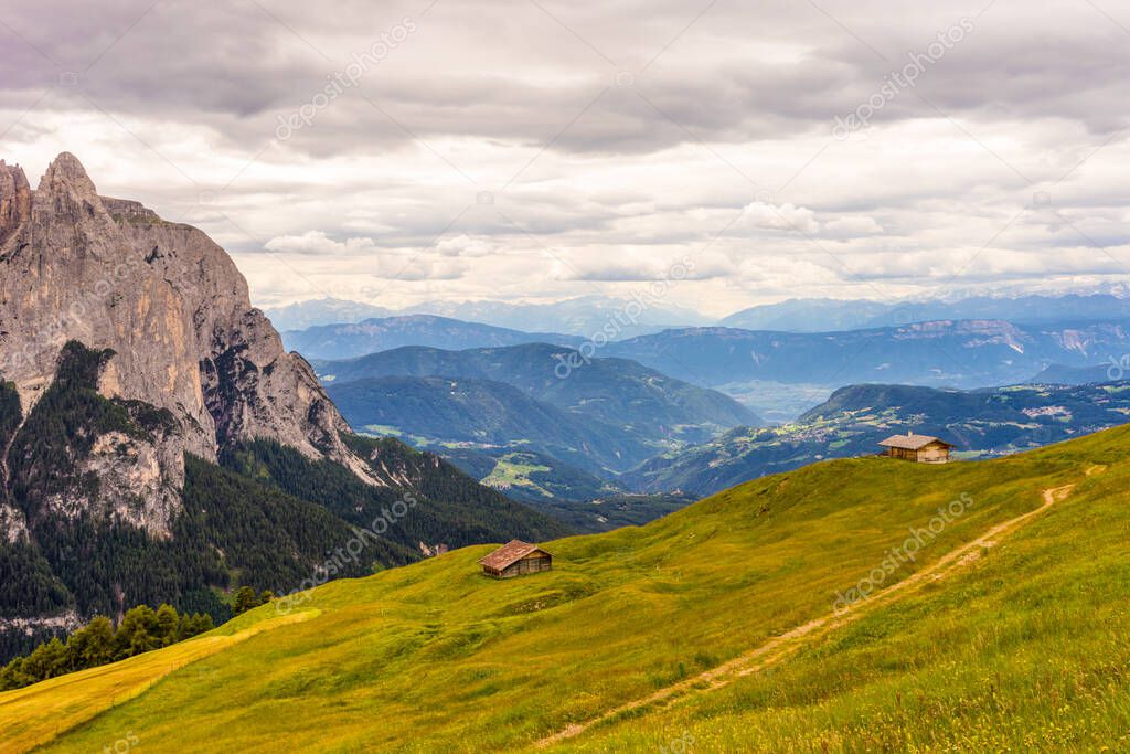 Italy, Alpe di Siusi, Seiser Alm with Sassolungo Langkofel Dolomite, a close up of a hillside with a mountain in the background