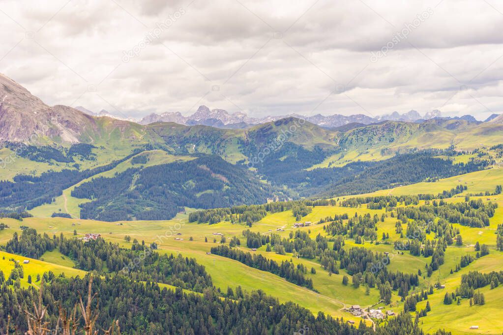 Italy, Alpe di Siusi, Seiser Alm with Sassolungo Langkofel Dolomite, a large green field with a mountain in the background