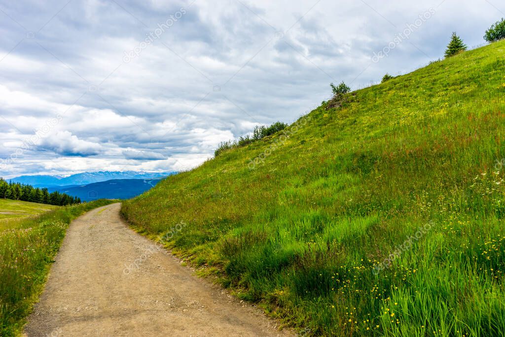 Alpe di Siusi, Seiser Alm with Sassolungo Langkofel Dolomite, a trekking walking winding path in a lush green field