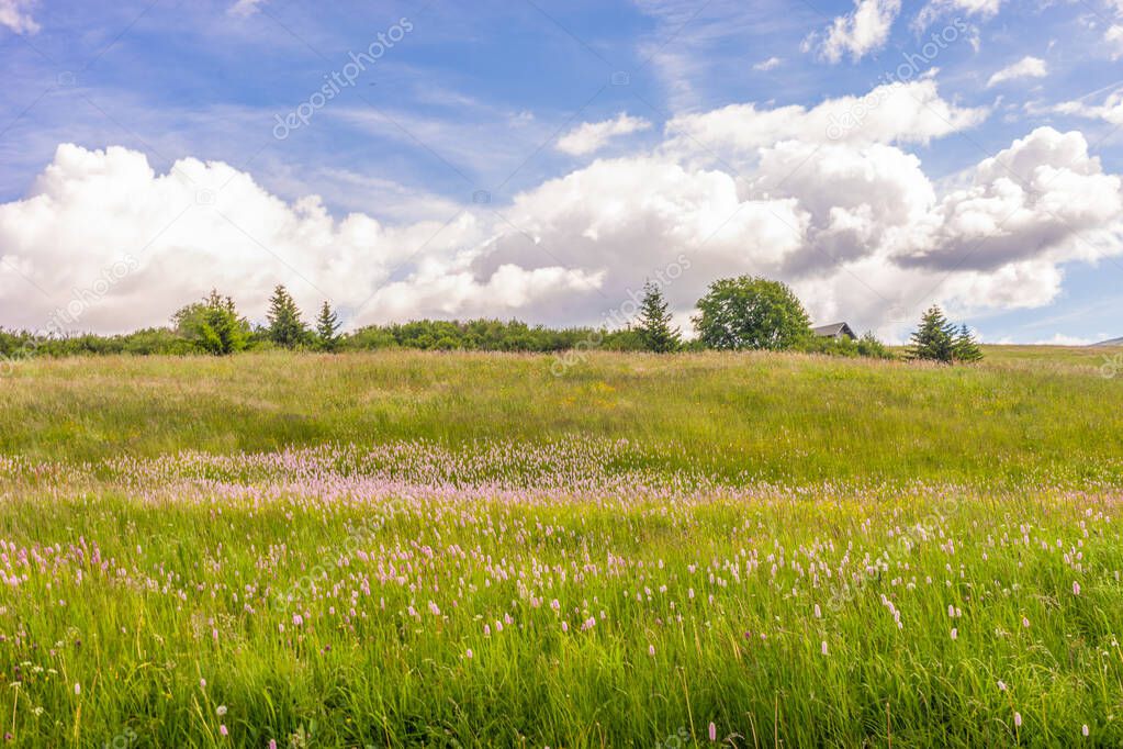 Italy, Alpe di Siusi, Seiser Alm with Sassolungo Langkofel Dolomite, a large green field with clouds in the sky