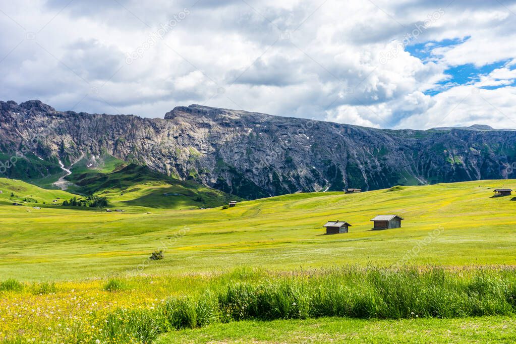 Italy, Alpe di Siusi, Seiser Alm with Sassolungo Langkofel Dolomite, a large green field with a mountain in the background