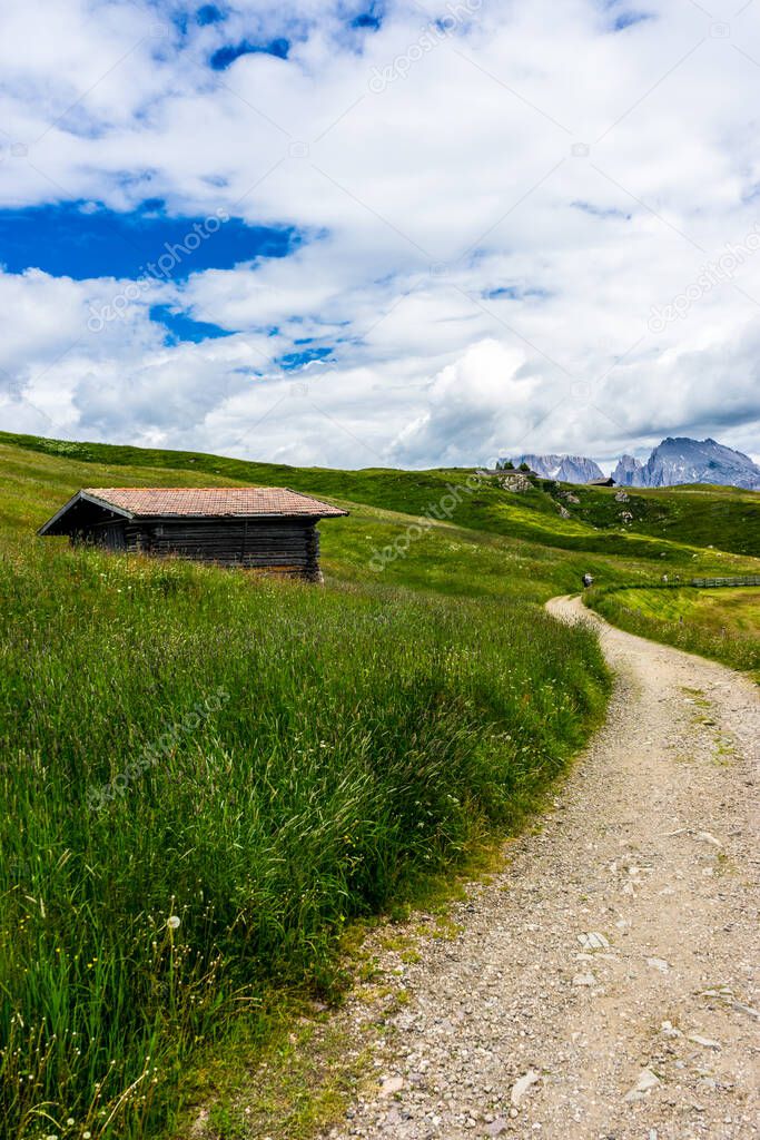 Italy, Alpe di Siusi, Seiser Alm with Sassolungo Langkofel Dolomite, an old barn in a field