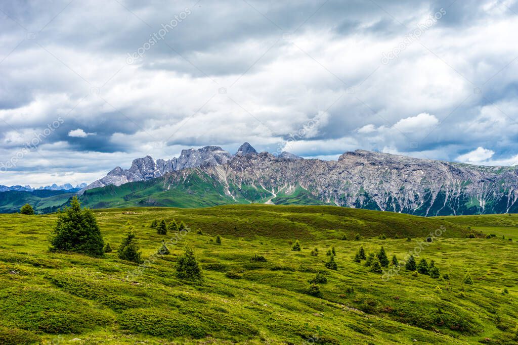 Italy, Alpe di Siusi, Seiser Alm with Sassolungo Langkofel Dolomite, a large green field with a mountain in the background