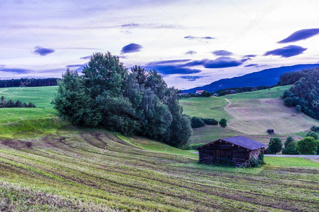 Italy, Alpe di Siusi, Seiser Alm with Sassolungo Langkofel Dolomite, a large green field with trees in the background