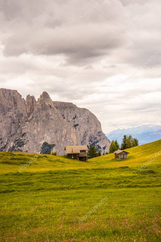 Italy, Alpe di Siusi, Seiser Alm with Sassolungo Langkofel Dolomite, a castle on top of a lush green field