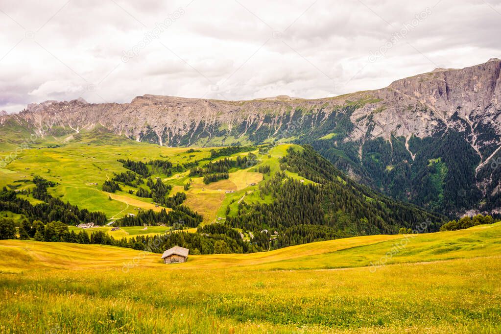 Italy, Alpe di Siusi, Seiser Alm with Sassolungo Langkofel Dolomite, a large green field with a mountain in the background