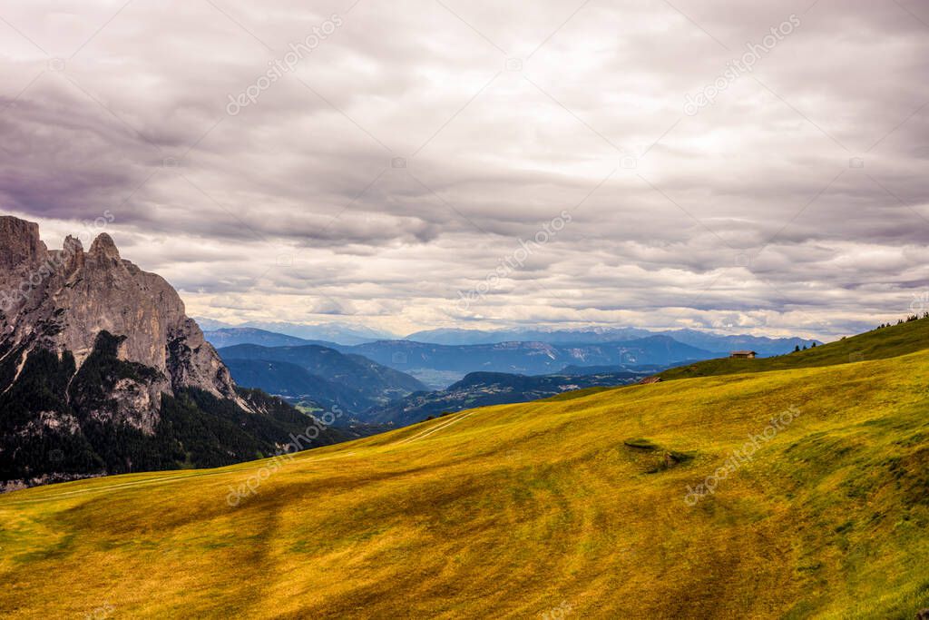 Italy, Alpe di Siusi, Seiser Alm with Sassolungo Langkofel Dolomite, a large mountain in the background