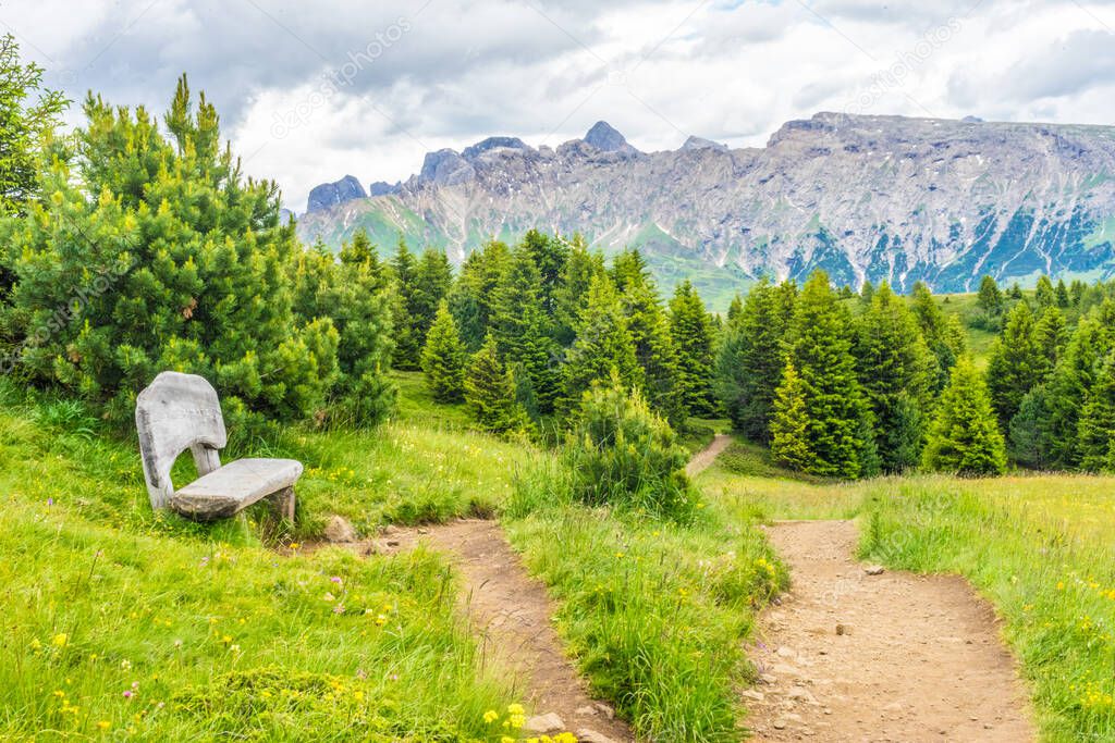 Italy, Alpe di Siusi, Seiser Alm with Sassolungo Langkofel Dolomite, a path with trees on the side of a mountain