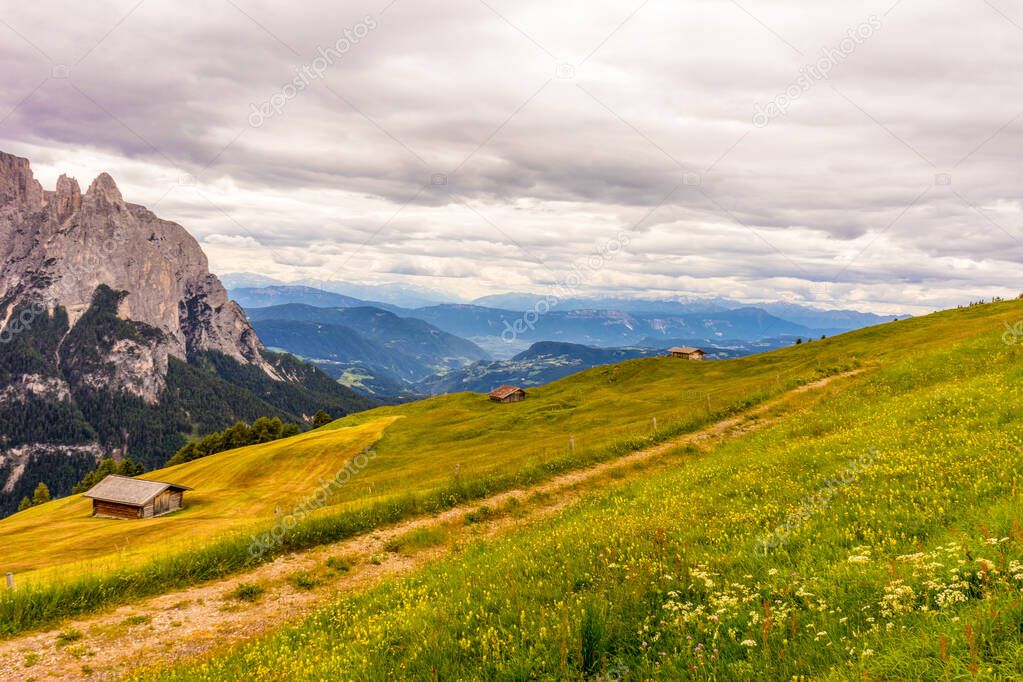 Italy, Alpe di Siusi, Seiser Alm with Sassolungo Langkofel Dolomite, a field with a mountain in the background
