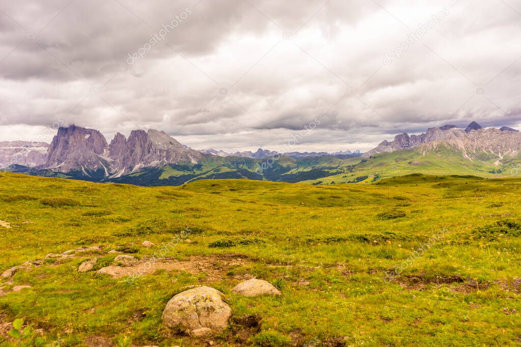 Italy, Alpe di Siusi, Seiser Alm with Sassolungo Langkofel Dolomite, a field with a mountain in the background