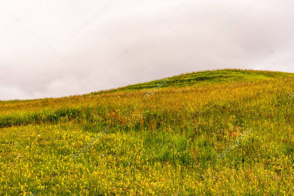 Italy, Alpe di Siusi, Seiser Alm with Sassolungo Langkofel Dolomite, a person standing on a lush green field with Konza Prairie Natural Area in the background