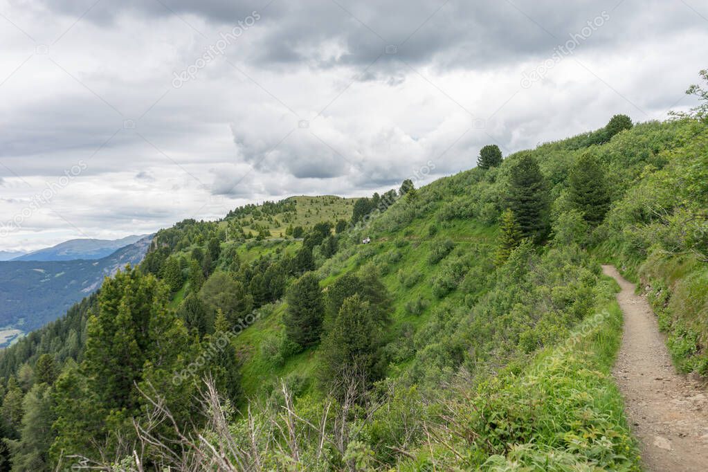 Alpe di Siusi, Seiser Alm with Sassolungo Langkofel Dolomite, a trekking walking winding path in a lush green field