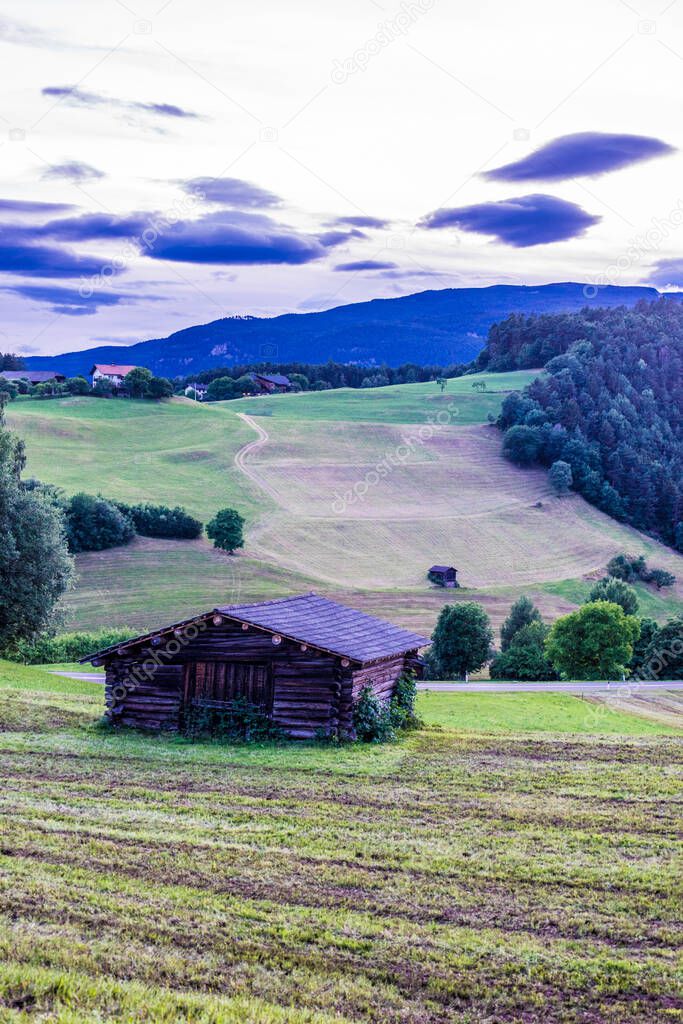 Alpe di Siusi, Seiser Alm with Sassolungo Langkofel Dolomite, a large green field with trees in the background