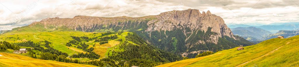 Alpe di Siusi, Seiser Alm with Sassolungo Langkofel Dolomite, a large mountain in the background panorama