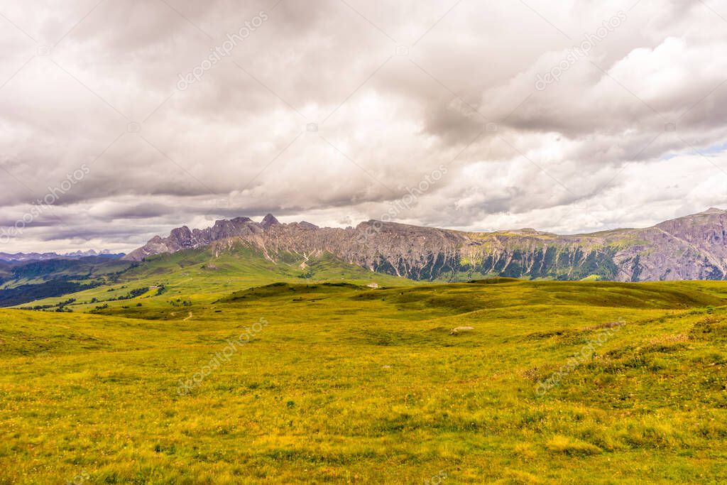 Italy, Alpe di Siusi, Seiser Alm with Sassolungo Langkofel Dolomite, a large green field with a mountain in the background