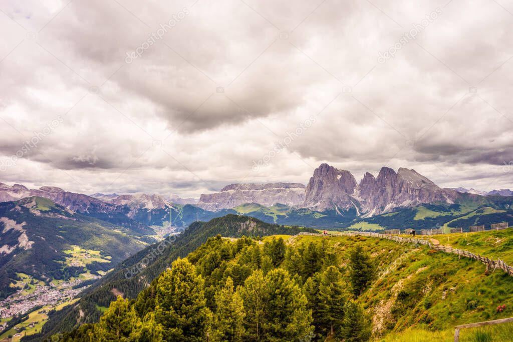 Italy, Alpe di Siusi, Seiser Alm with Sassolungo Langkofel Dolomite, a large mountain in the background