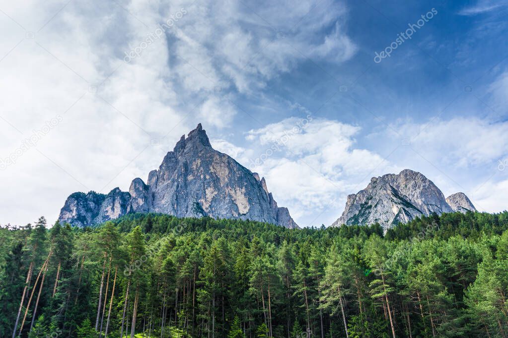 Italy, Alpe di Siusi, Seiser Alm with Sassolungo Langkofel Dolomite, a tree with a mountain in the background