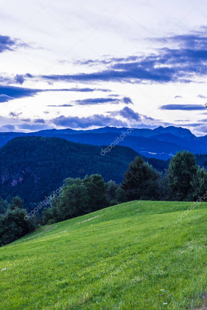 Italy, Alpe di Siusi, Seiser Alm with Sassolungo Langkofel Dolomite, a large green field with a mountain in the background