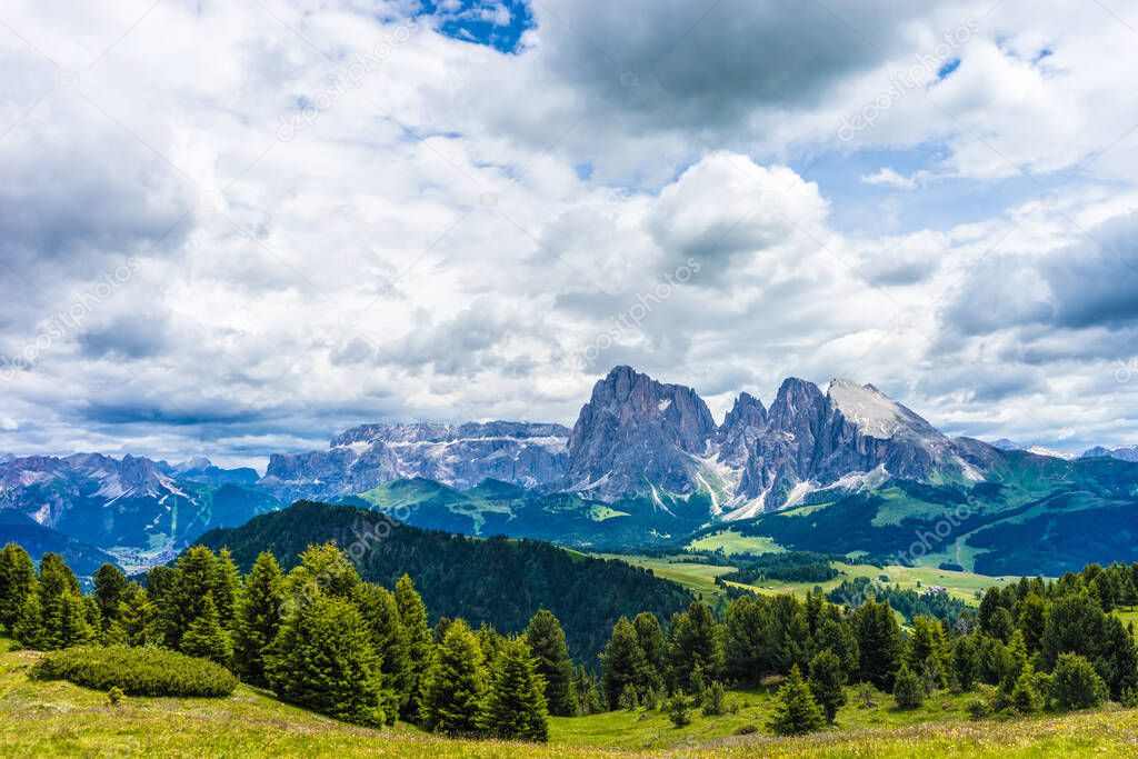 Italy, Alpe di Siusi, Seiser Alm with Sassolungo Langkofel Dolomite, a large green field with a mountain in the background