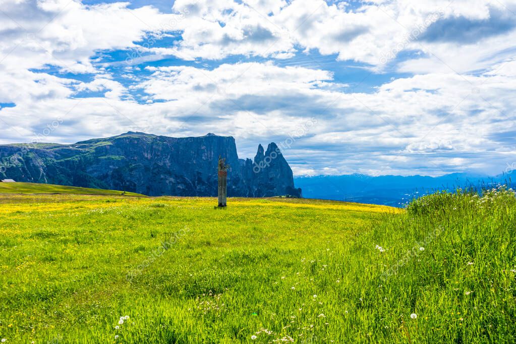 Italy, Alpe di Siusi, Seiser Alm with Sassolungo Langkofel Dolomite, a large green field with a mountain in the background