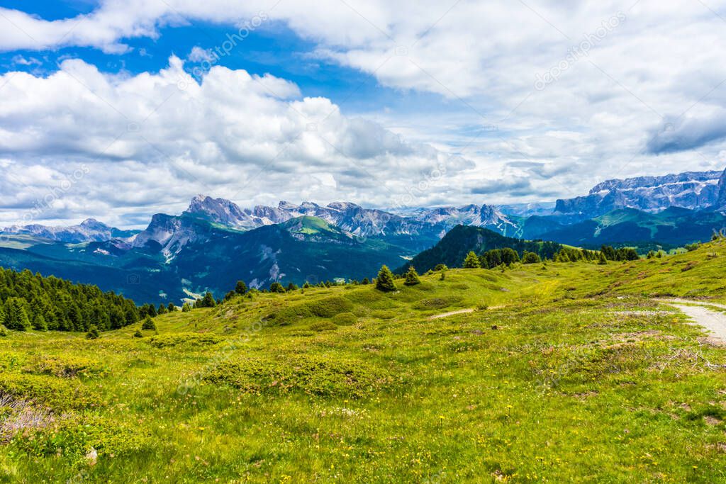 Italy, Alpe di Siusi, Seiser Alm with Sassolungo Langkofel Dolomite, a large green field with a mountain in the background