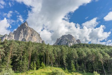 İtalya, Alpe di Siusi, Seiser Alm Sassolungo Langkofel Dolomite ile birlikte arka planda dağ olan bir ağaç.