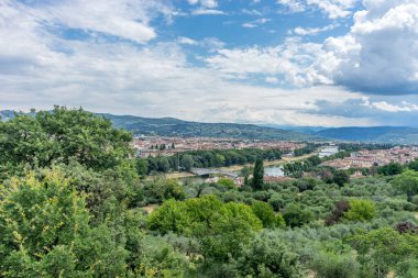 Avrupa, İtalya, Floransa, tarlada bir grup çalı