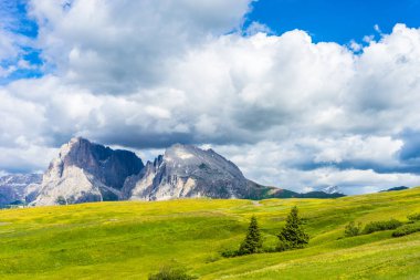 İtalya, Alpe di Siusi, Seiser Alm Sassolungo Langkofel Dolomite ile birlikte, arkasında dağ olan büyük yeşil bir tarla.
