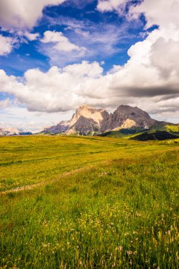 İtalya, Alpe di Siusi, Seiser Alm Sassolungo Langkofel Dolomite ile birlikte, arkasında dağ olan büyük yeşil bir tarla.