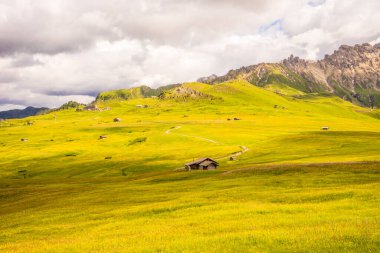 Alpe di Siusi, Seiser Alm ve Sassolungo Langkofel Dolomite, vadi kanyonundaki yemyeşil bir arazinin yakınlarındaydılar.