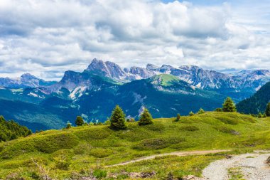 Alpe di Siusi, Seiser Alm Sassolungo Langkofel Dolomite ile birlikte, yemyeşil bir tarlada yayan bir yürüyüş yolu.