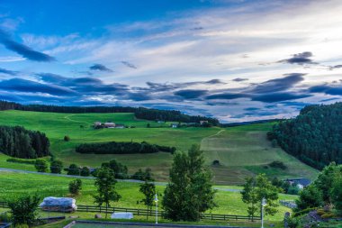 Alpe di Siusi, Seiser Alm ve Sassolungo Langkofel Dolomite. Arkasında ağaçlar olan büyük yeşil bir alan.