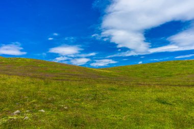 İtalya, Alpe di Siusi, Seiser Alm Sassolungo Langkofel Dolomite ile, bulutlu mavi gökyüzünün altında büyük yeşil bir alan.
