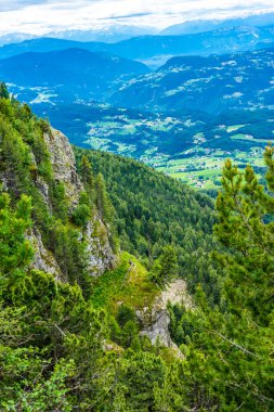 İtalya, Alpe di Siusi, Seiser Alm ve Sassolungo Langkofel Dolomite arka planda ağaçlarla kaplı kayalık bir dağ manzarası.