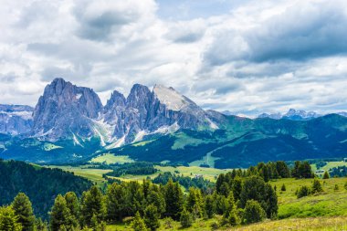 İtalya, Alpe di Siusi, Seiser Alm ve Sassolungo Langkofel Dolomite arka planda büyük bir dağın manzarası.