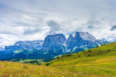 İtalya, Alpe di Siusi, Seiser Alm Sassolungo Langkofel Dolomite ile birlikte, arkasında dağ olan büyük yeşil bir tarla.