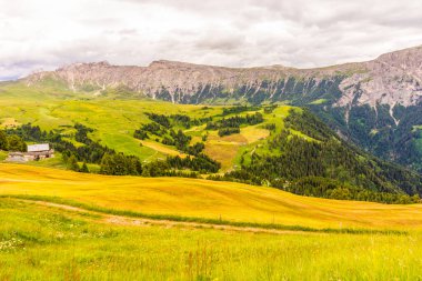 İtalya, Alpe di Siusi, Seiser Alm Sassolungo Langkofel Dolomite ile birlikte, arkasında dağ olan büyük yeşil bir tarla.