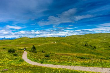 Alpe di Siusi, Seiser Alm Sassolungo Langkofel Dolomite ile birlikte Seiser Alm Puflatsch Bullaccia 'da yemyeşil alan.