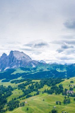 İtalya, Alpe di Siusi, Seiser Alm Sassolungo Langkofel Dolomite ile birlikte, arkasında dağ olan büyük yeşil bir tarla.