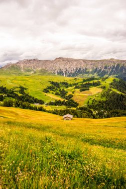 İtalya, Alpe di Siusi, Seiser Alm Sassolungo Langkofel Dolomite ile birlikte, arkasında dağ olan büyük yeşil bir tarla.
