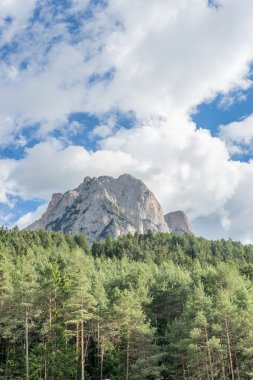 İtalya, Alpe di Siusi, Seiser Alm Sassolungo Langkofel Dolomite ile birlikte arka planda dağ olan bir ağaç.