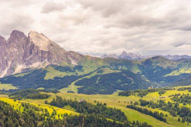 İtalya, Alpe di Siusi, Seiser Alm Sassolungo Langkofel Dolomite ile birlikte, arkasında dağ olan büyük yeşil bir tarla.