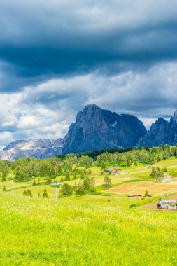 İtalya, Alpe di Siusi, Seiser Alm ve Sassolungo Langkofel Dolomite arka planda dağ olan bir tarla.