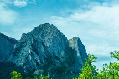 İtalya, Alpe di Siusi, Seiser Alm Sassolungo Langkofel Dolomite ile birlikte arka planda dağ olan bir ağaç.