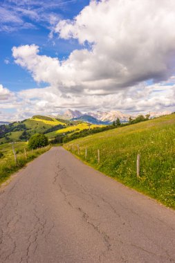 Alpe di Siusi, Seiser Alm Sassolungo Langkofel Dolomite ile birlikte, yemyeşil bir arazi panoramasında yayan bir yürüyüş yolu.