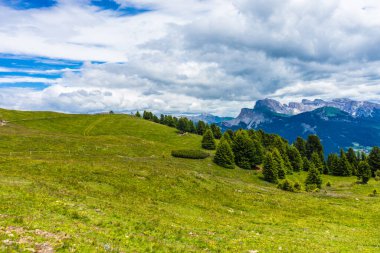 İtalya, Alpe di Siusi, Seiser Alm Sassolungo Langkofel Dolomite ile birlikte, arkasında dağ olan büyük yeşil bir tarla.