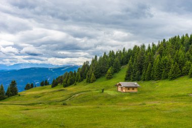 İtalya, Alpe di Siusi, Seiser Alm Sassolungo Langkofel Dolomite ile birlikte, yemyeşil bir tarlaya yakın çekim.