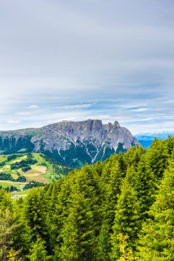 İtalya, Alpe di Siusi, Seiser Alm Sassolungo Langkofel Dolomite ile birlikte arka planda dağ olan bir ağaç.